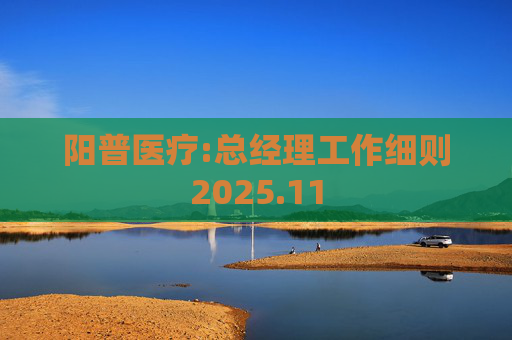 阳普医疗:总经理工作细则2025.11