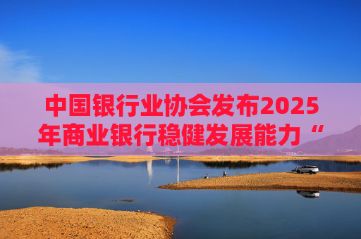 中国银行业协会发布2025年商业银行稳健发展能力“陀螺”(GYROSCOPE)评价结果 第1张 中国银行业协会发布2025年商业银行稳健发展能力“陀螺”(GYROSCOPE)评价结果 第1张