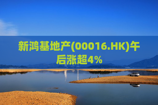 新鸿基地产(00016.HK)午后涨超4%