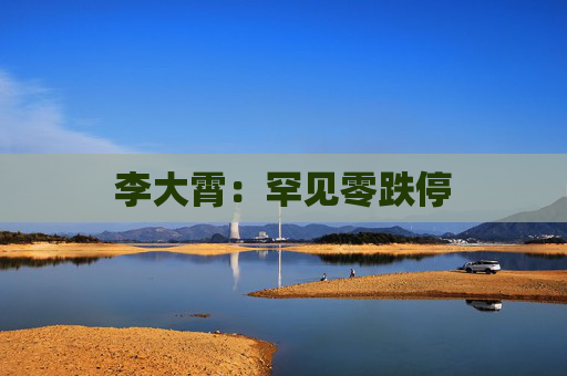 李大霄：罕见零跌停