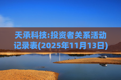 天承科技:投资者关系活动记录表(2025年11月13日)  第1张