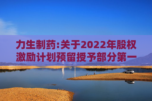 力生制药:关于2022年股权激励计划预留授予部分第一个解除限售期条件成就事项之法律意见书  第1张