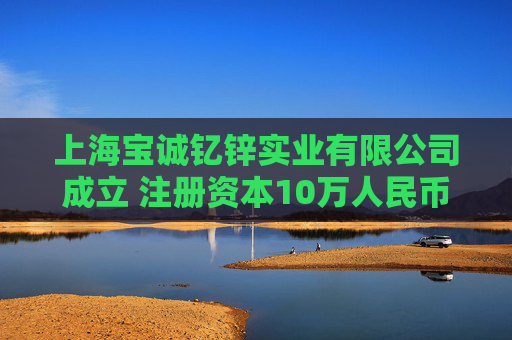 上海宝诚钇锌实业有限公司成立 注册资本10万人民币
