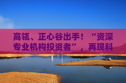 高瓴、正心谷出手！“资深专业机构投资者”，再现科创板！