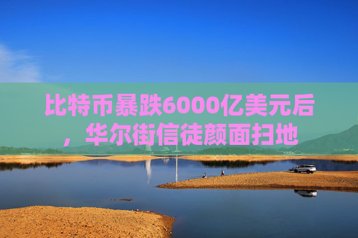 比特币暴跌6000亿美元后，华尔街信徒颜面扫地  第1张