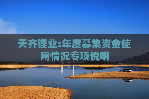 天齐锂业:年度募集资金使用情况专项说明