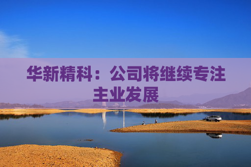 华新精科：公司将继续专注主业发展