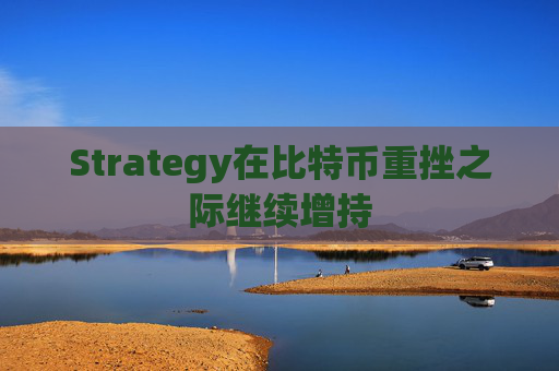 Strategy在比特币重挫之际继续增持