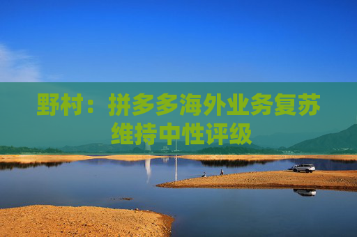 野村:拼多多海外业务复苏 维持中性评级 第1张 野村:拼多多海外业务复苏 维持中性评级 第1张