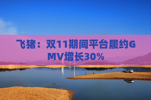 飞猪:双11期间平台履约GMV增长30% 第1张 飞猪:双11期间平台履约GMV增长30% 第1张