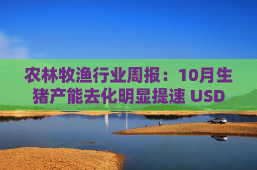 农林牧渔行业周报：10月生猪产能去化明显提速 USDA玉米、大豆库消比下降  第1张