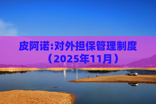 皮阿诺:对外担保管理制度（2025年11月）