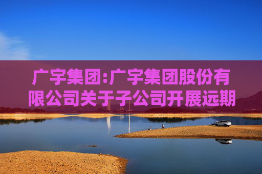 广宇集团:广宇集团股份有限公司关于子公司开展远期结售汇业务及其可行性方案的公告