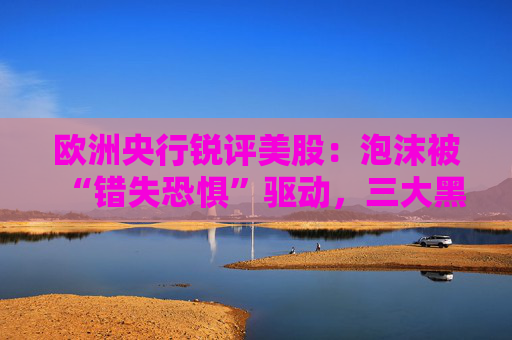 欧洲央行锐评美股：泡沫被“错失恐惧”驱动，三大黑天鹅可能引爆市场！