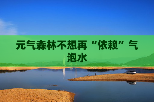 元气森林不想再“依赖”气泡水