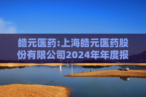 皓元医药:上海皓元医药股份有限公司2024年年度报告（更新后）  第1张