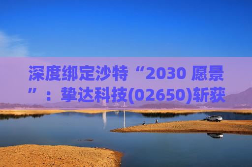 深度绑定沙特“2030 愿景”:挚达科技(02650)斩获超亿元充电桩大单! 第1张 深度绑定沙特“2030 愿景”:挚达科技(02650)斩获超亿元充电桩大单! 第1张