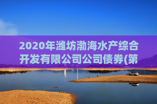 2020年潍坊渤海水产综合开发有限公司公司债券(第二期)2025年债券回售实施的第二次提示性公告