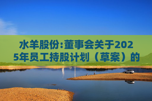 水羊股份:董事会关于2025年员工持股计划（草案）的合规性说明  第1张