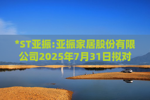 *ST亚振:亚振家居股份有限公司2025年7月31日拟对外投资资产负债表审计报告书  第1张