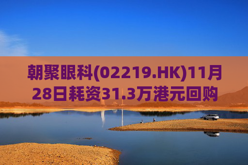 朝聚眼科(02219.HK)11月28日耗资31.3万港元回购12万股