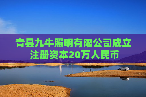 青县九牛照明有限公司成立 注册资本20万人民币  第1张