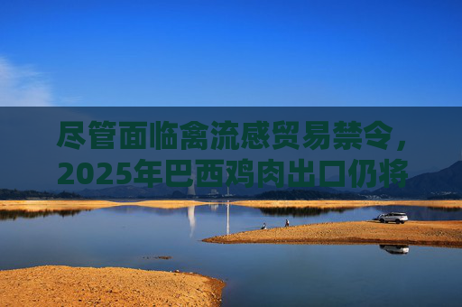 尽管面临禽流感贸易禁令，2025年巴西鸡肉出口仍将增长