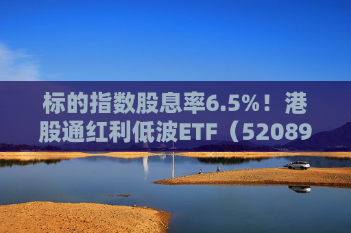 标的指数股息率6.5%！港股通红利低波ETF（520890）年末配置吸引力凸显  第1张