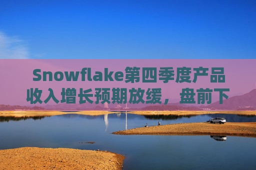 Snowflake第四季度产品收入增长预期放缓，盘前下跌8%