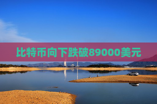 比特币向下跌破89000美元  第1张