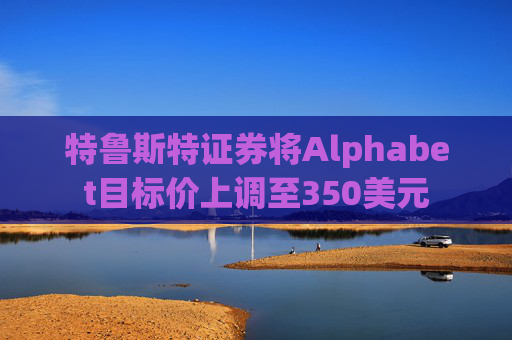 特鲁斯特证券将Alphabet目标价上调至350美元  第1张