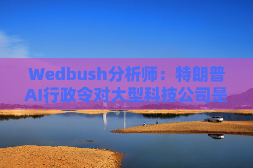 Wedbush分析师：特朗普AI行政令对大型科技公司是重大利好