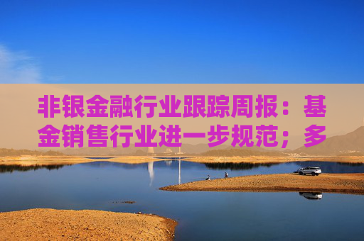 非银金融行业跟踪周报：基金销售行业进一步规范；多家券商优化两融业务布局