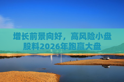 增长前景向好，高风险小盘股料2026年跑赢大盘