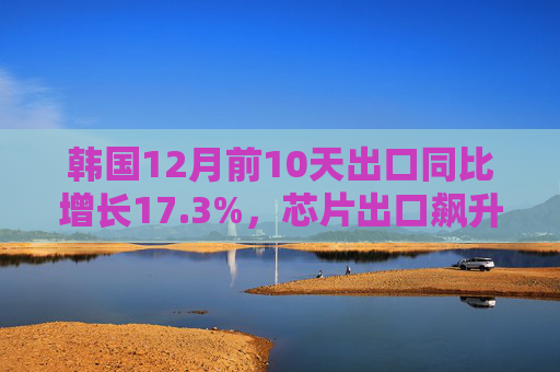 韩国12月前10天出口同比增长17.3%,芯片出口飙升45.9% 第1张 韩国12月前10天出口同比增长17.3%,芯片出口飙升45.9% 第1张