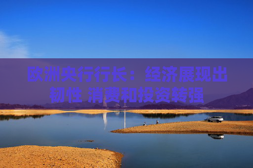欧洲央行行长：经济展现出韧性 消费和投资转强