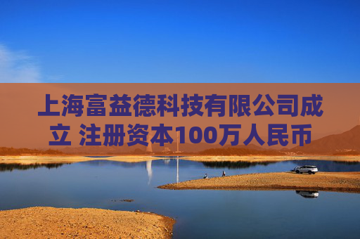 上海富益德科技有限公司成立 注册资本100万人民币  第1张