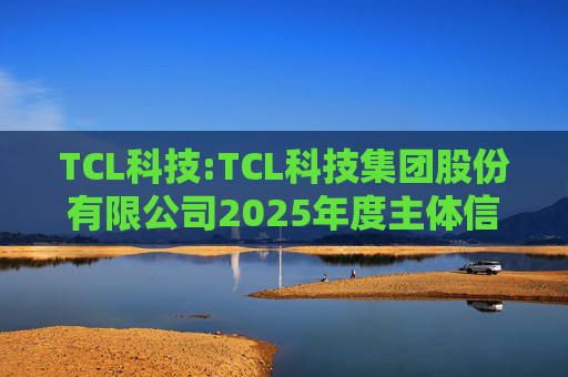 TCL科技:TCL科技集团股份有限公司2025年度主体信用评级报告