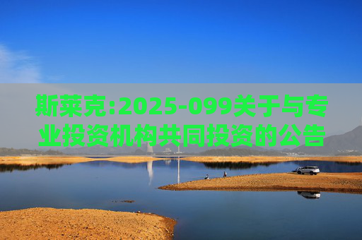 斯莱克:2025-099关于与专业投资机构共同投资的公告