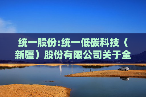 统一股份:统一低碳科技（新疆）股份有限公司关于全资子公司现金分红的公告