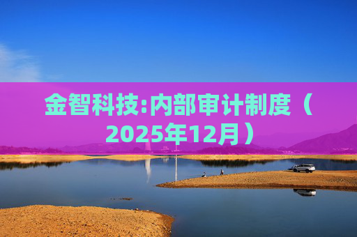 金智科技:内部审计制度（2025年12月）