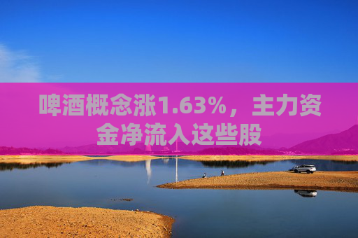 啤酒概念涨1.63%，主力资金净流入这些股  第1张