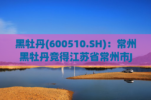 黑牡丹(600510.SH)：常州黑牡丹竞得江苏省常州市JZX20251803地块的国有建设用地使用权