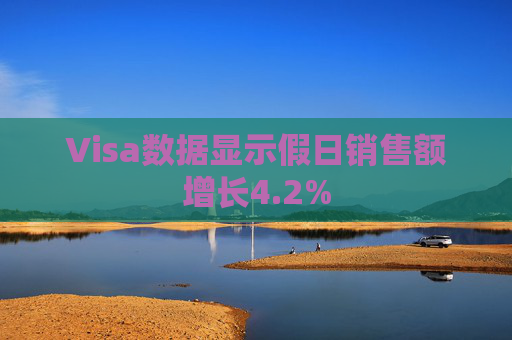 Visa数据显示假日销售额增长4.2%