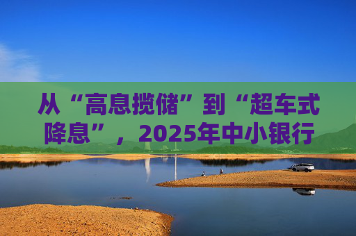 从“高息揽储”到“超车式降息”，2025年中小银行大幅下调存款利率｜2025中国经济年报