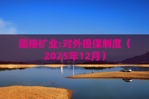 藏格矿业:对外担保制度（2025年12月）