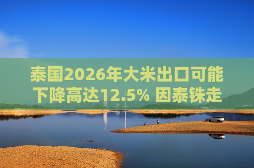 泰国2026年大米出口可能下降高达12.5% 因泰铢走强削弱竞争力