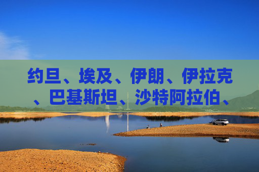 约旦、埃及、伊朗、伊拉克、巴基斯坦、沙特阿拉伯、土耳其等发表联合声明