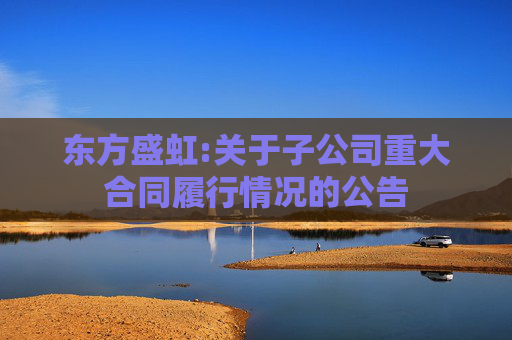 东方盛虹:关于子公司重大合同履行情况的公告