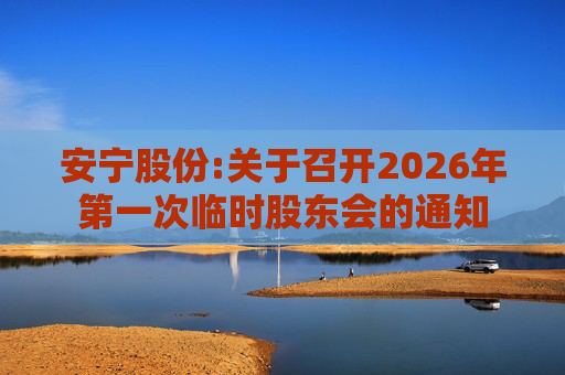 安宁股份:关于召开2026年第一次临时股东会的通知